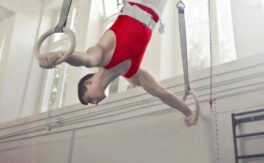 Х Световна купа по спортна гимнастика - Дворец на културата и спорта - Варна