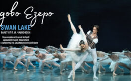 Лебедово езеро - Дворец на културата и спорта - Варна