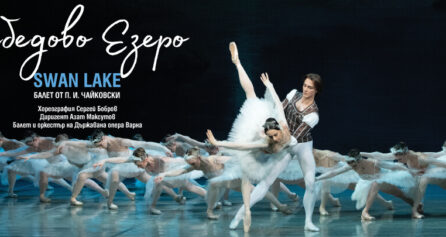 Лебедово езеро - Дворец на културата и спорта - Варна